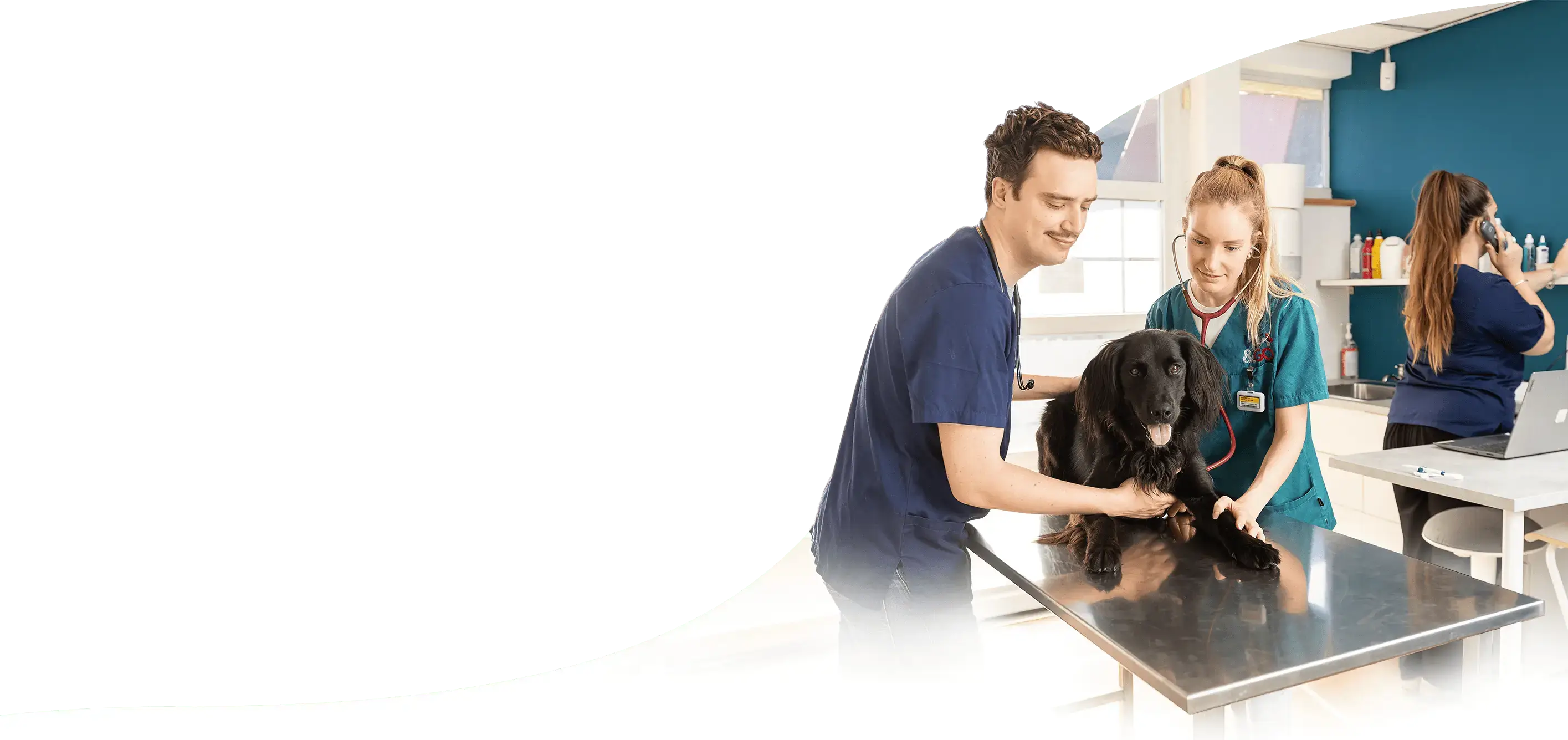 Vets