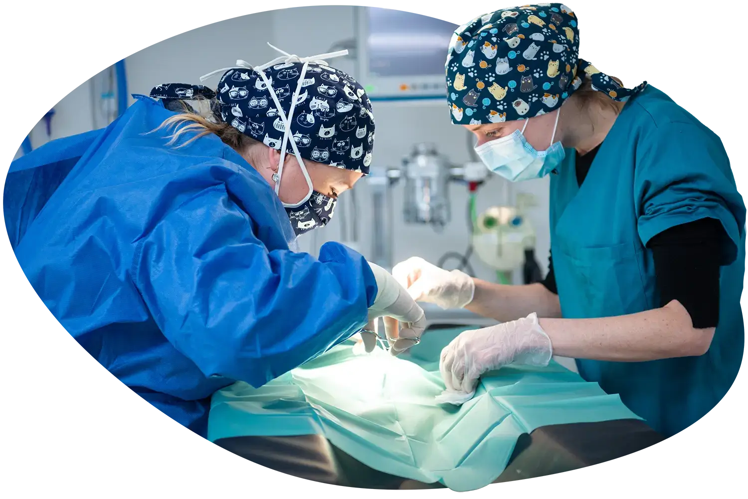 surgeon