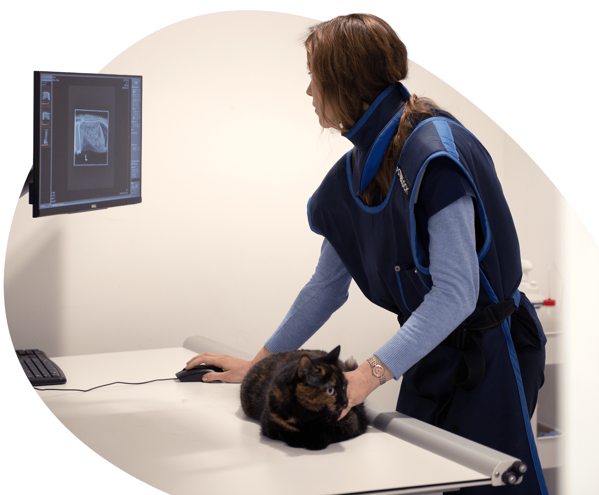 Imagerie médicale à Bruxelles