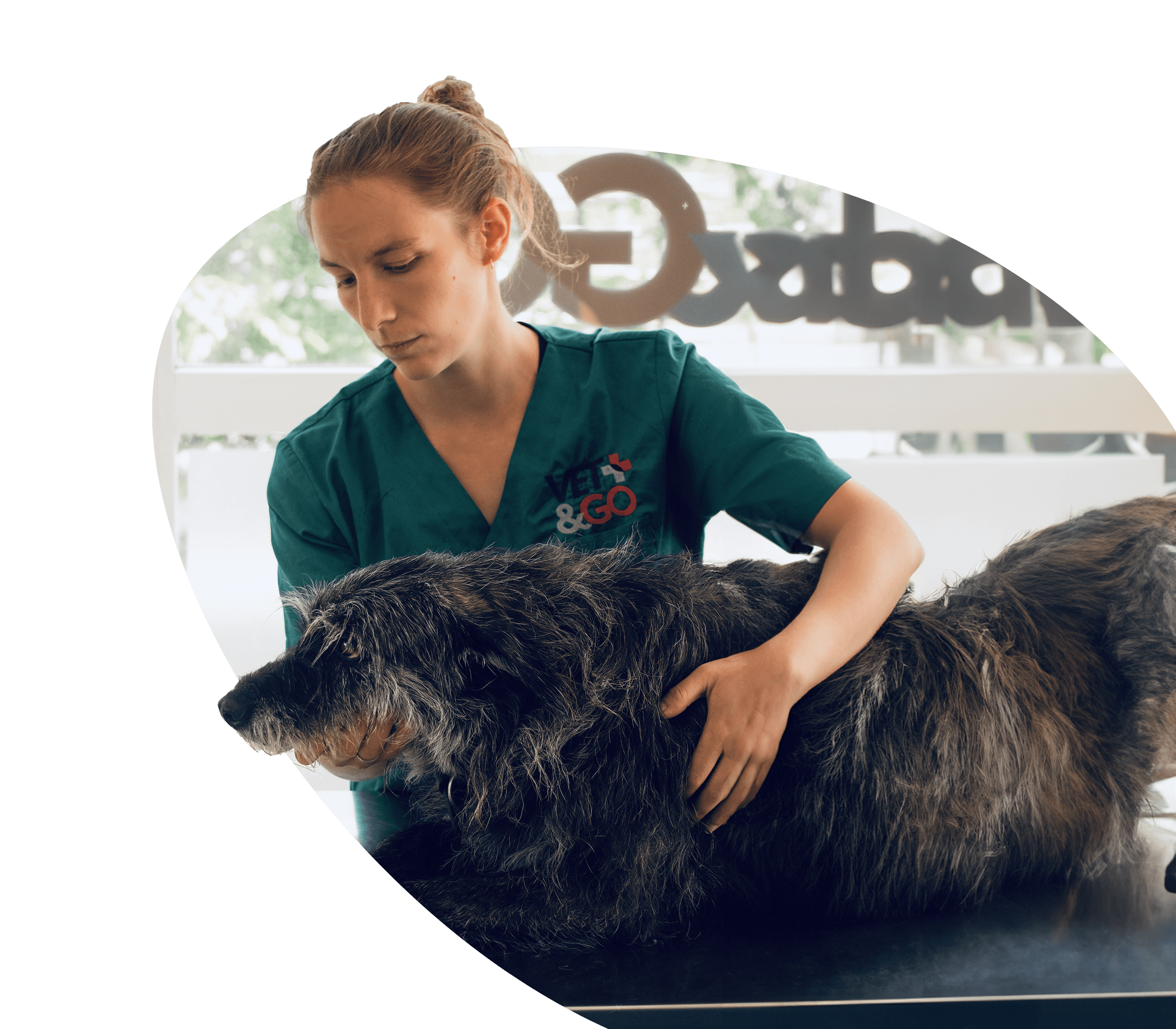 Osthéopathie à Bruxelles