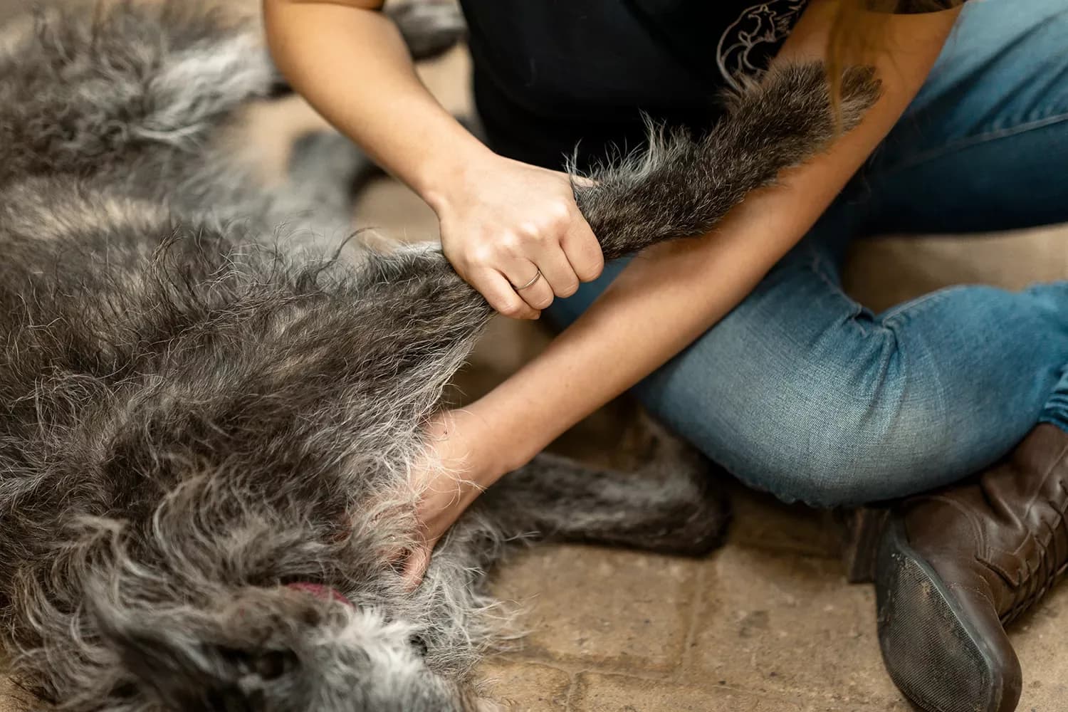 Osthéopathie Bruxelles