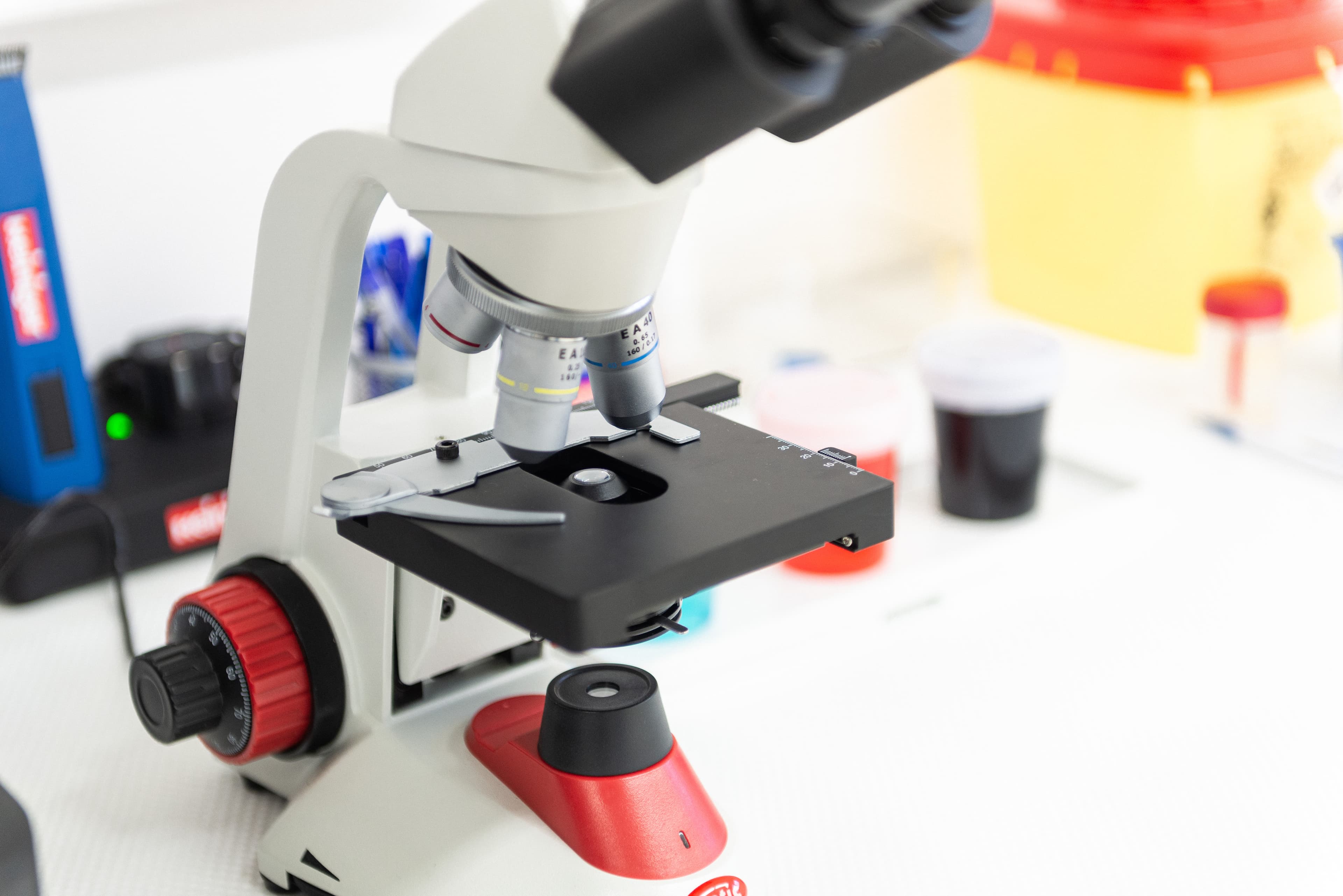 Urgence vétérinaire uccle